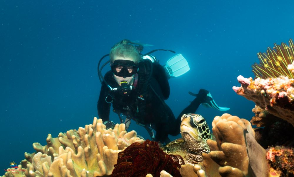 clear blue ocean and turtle at Manza in Okinawa