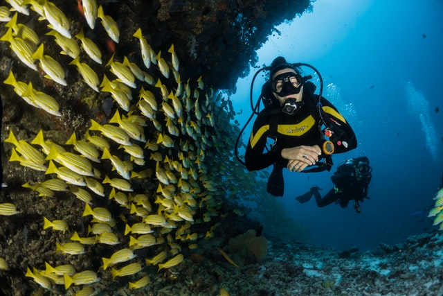 Scuba diving instructor job