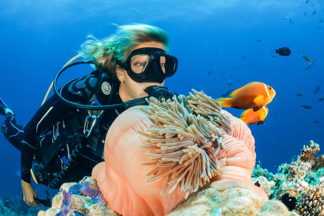 Underwater picture with Nemo