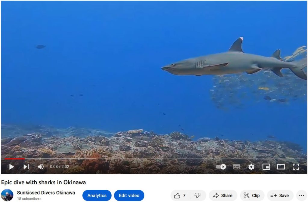 Epic-shark-dive-in-okinawa