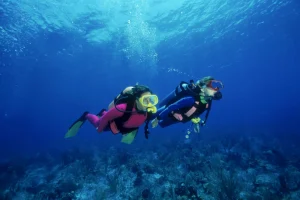 photo - beautiful okinawa diving