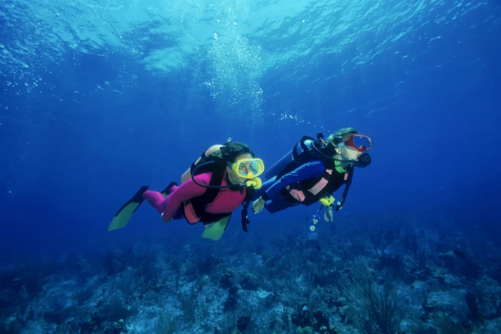 photo - beautiful okinawa diving