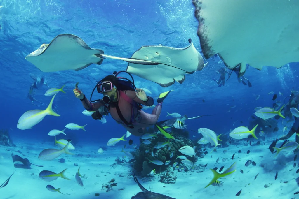 photo - safe diving in okinawa