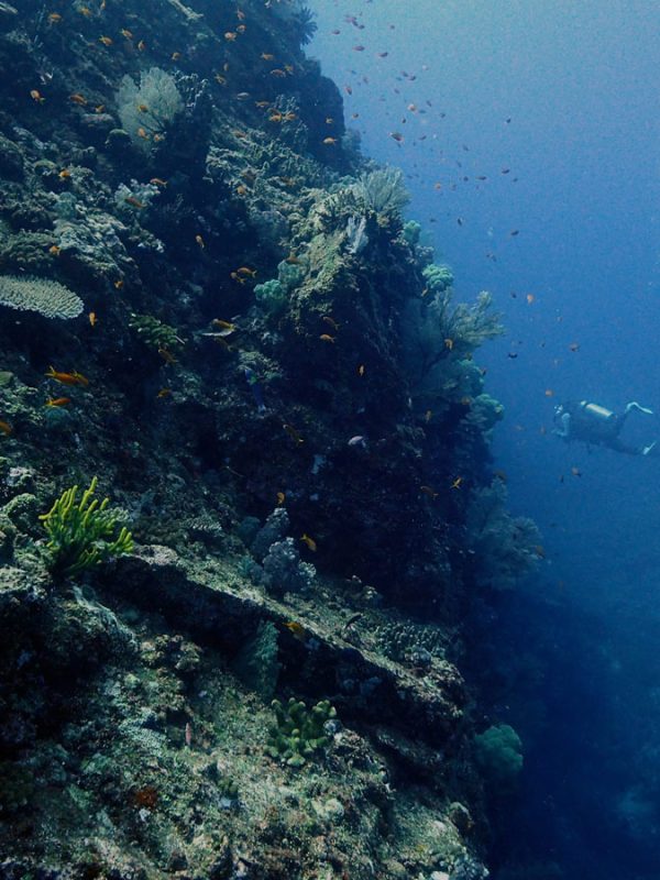 Diving at Manza