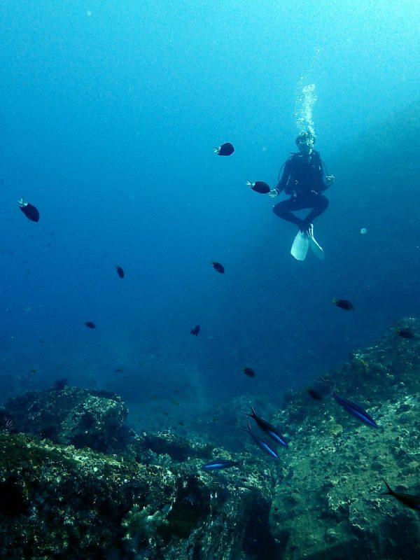 Cape Zampa diving