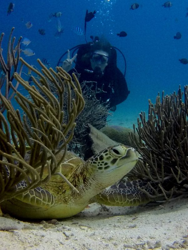 Padi Advanced Open Water Diver course