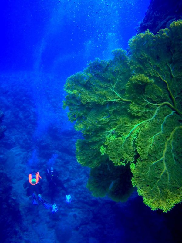 scuba-holiday-in-okinawa-with-sunkissed-divers-okinawa-scaled-1